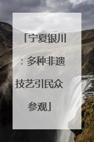 宁夏银川：多种非遗技艺引民众参观