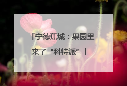 宁德蕉城：果园里来了“科特派”