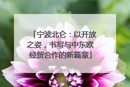 宁波北仑：以开放之姿，书写与中东欧经贸合作的新篇章