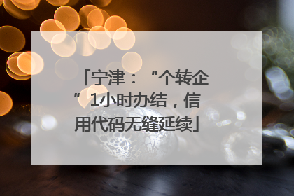 宁津：“个转企”1小时办结，信用代码无缝延续