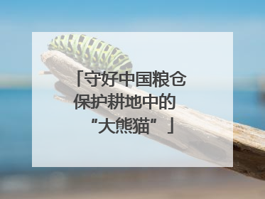 守好中国粮仓 保护耕地中的“大熊猫”