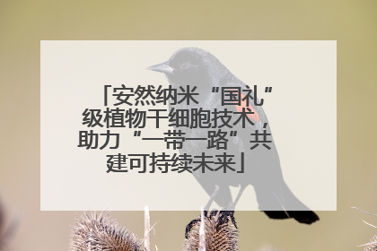 安然纳米“国礼”级植物干细胞技术，助力“一带一路”共建可持续未来