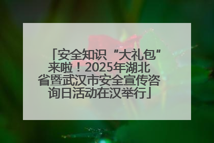 安全知识“大礼包”来啦！2025年湖北省暨武汉市安全宣传咨询日活动在汉举行