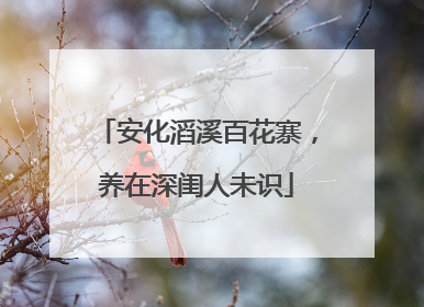 安化滔溪百花寨，养在深闺人未识
