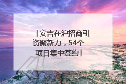 安吉在沪招商引资聚新力，54个项目集中签约