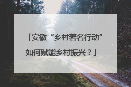 安徽“乡村著名行动”如何赋能乡村振兴？