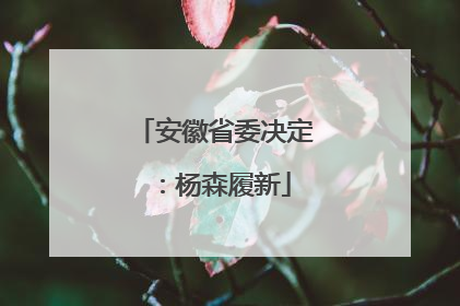 安徽省委决定：杨森履新