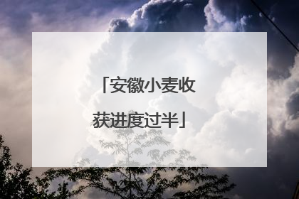 安徽小麦收获进度过半