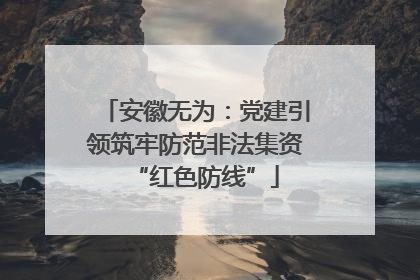 安徽无为：党建引领筑牢防范非法集资“红色防线”