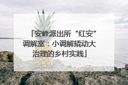 安峰派出所“红安”调解室：小调解撬动大治理的乡村实践