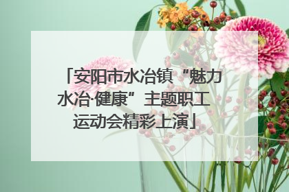 安阳市水冶镇“魅力水冶·健康”主题职工运动会精彩上演
