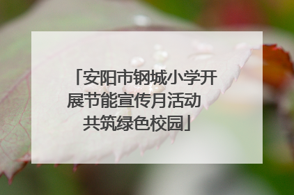 安阳市钢城小学开展节能宣传月活动 共筑绿色校园