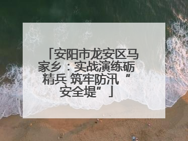 安阳市龙安区马家乡：实战演练砺精兵 筑牢防汛“安全堤”