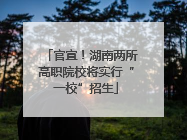 官宣！湖南两所高职院校将实行“一校”招生