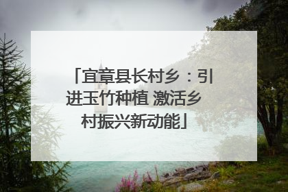 宜章县长村乡：引进玉竹种植 激活乡村振兴新动能