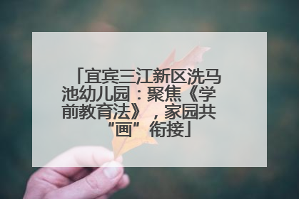 宜宾三江新区洗马池幼儿园：聚焦《学前教育法》，家园共“画”衔接