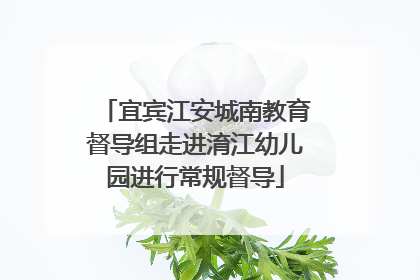 宜宾江安城南教育督导组走进淯江幼儿园进行常规督导