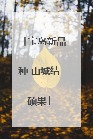 宝岛新品种 山城结硕果