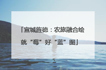 宣城旌德：农旅融合绘就“莓”好“蓝”图