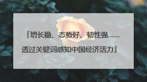 增长稳、态势好、韧性强……透过关键词感知中国经济活力