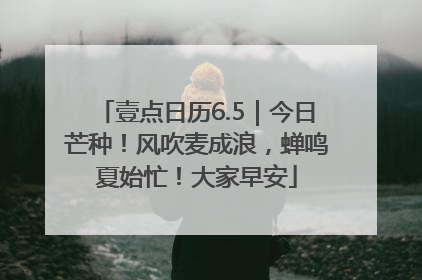 壹点日历6.5｜今日芒种！风吹麦成浪，蝉鸣夏始忙！大家早安