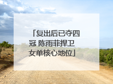复出后已夺四冠 陈雨菲捍卫女单核心地位