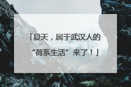 夏天，属于武汉人的“荷系生活”来了！