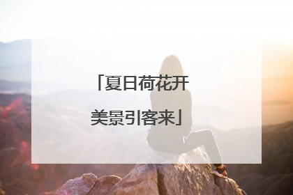 夏日荷花开 美景引客来