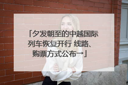 夕发朝至的中越国际列车恢复开行 线路、购票方式公布→