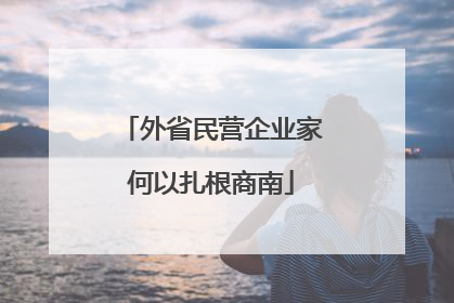 外省民营企业家何以扎根商南