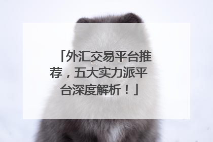 外汇交易平台推荐，五大实力派平台深度解析！