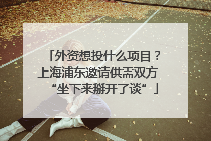外资想投什么项目？上海浦东邀请供需双方“坐下来掰开了谈”