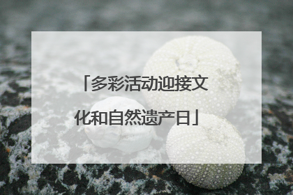 多彩活动迎接文化和自然遗产日