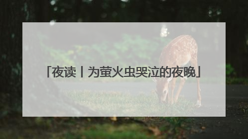 夜读丨为萤火虫哭泣的夜晚