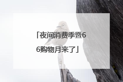 夜间消费季暨66购物月来了