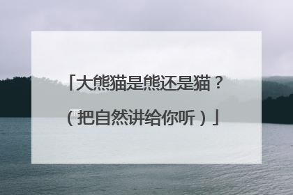 大熊猫是熊还是猫？（把自然讲给你听）