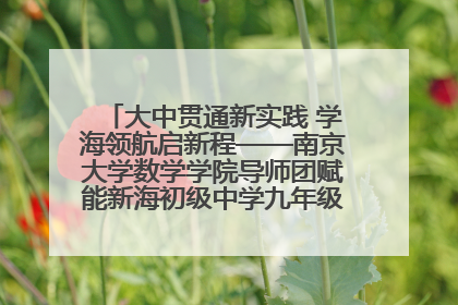 大中贯通新实践 学海领航启新程——南京大学数学学院导师团赋能新海初级中学九年级学子生涯规划