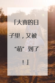 大喜的日子里，又被“萌”到了！