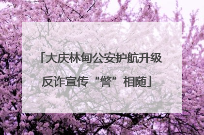 大庆林甸公安护航升级 反诈宣传“警”相随