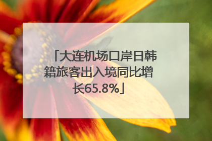大连机场口岸日韩籍旅客出入境同比增长65.8%