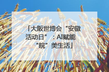大阪世博会“安徽活动日”：AI赋能“皖”美生活