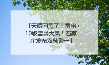 天瞬间黑了！雷电+10级雷暴大风！石家庄发布双预警→