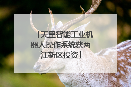 天罡智能工业机器人操作系统获两江新区投资