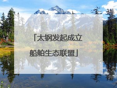 太钢发起成立船舶生态联盟
