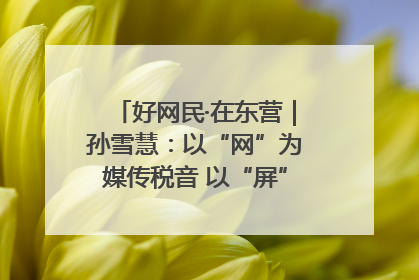 好网民·在东营｜孙雪慧：以“网”为媒传税音 以“屏”为介助发展