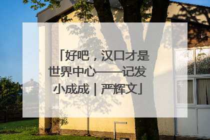好吧，汉口才是世界中心——记发小成成｜严辉文