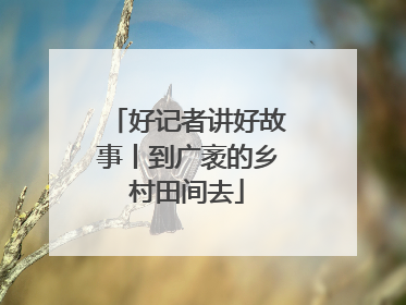 好记者讲好故事丨到广袤的乡村田间去