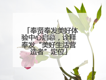 奉贤奉发美好体验中心启幕，诠释奉发“美好生活营造者”定位