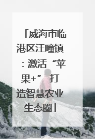 威海市临港区汪疃镇：激活“苹果+” 打造智慧农业生态圈