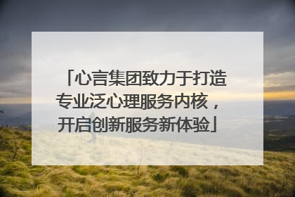 心言集团致力于打造专业泛心理服务内核，开启创新服务新体验